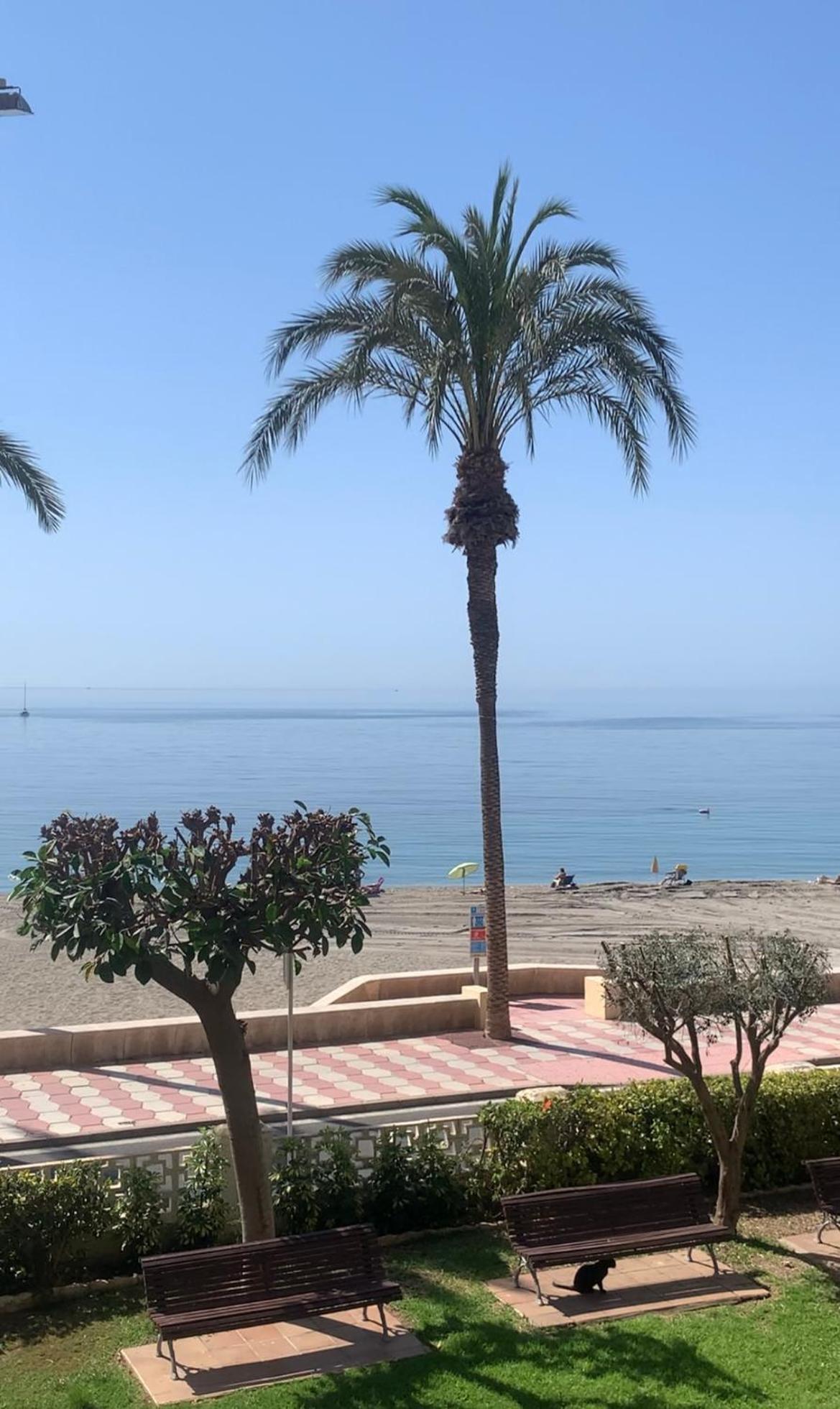 Brisas Del Mar Mediterraneo Aguadulce  Eksteriør billede